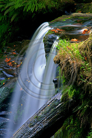 Back-country Falls