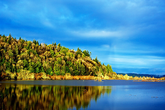 Coquille River