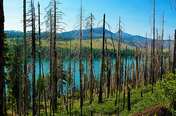 Cascade Burn