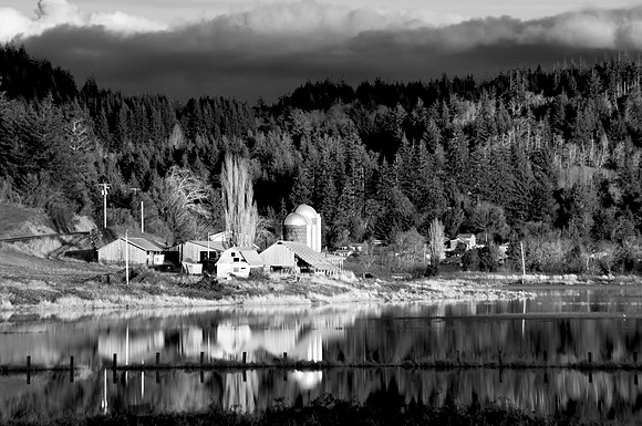 Winter Farm