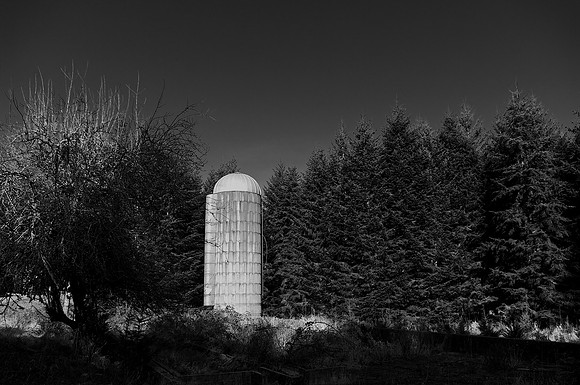 Silo in the Woods