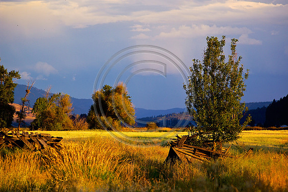 Forgotten Homestead