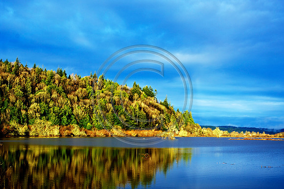Coquille River