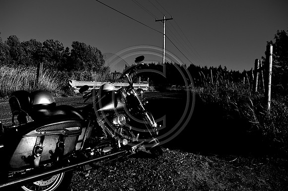 Road King on a Country Road