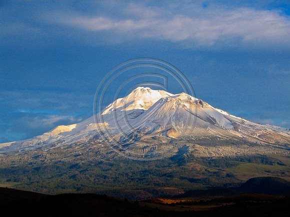 Mt. Shasta