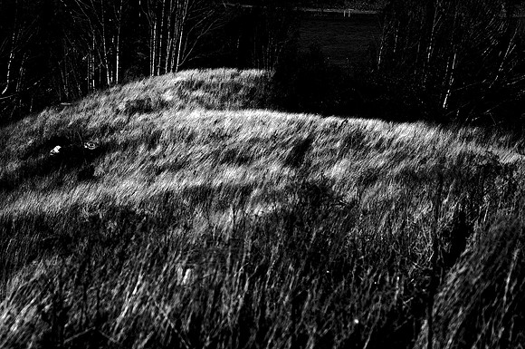 Grassy Ridge, Black and White